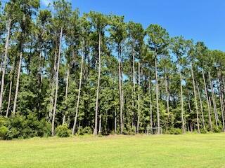 8357 Chisolm Plantation Road Edisto Island, SC 29438 - Photo 64 of 73 IMG_7642