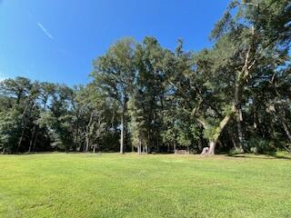 8357 Chisolm Plantation Road Edisto Island, SC 29438 - Photo 67 of 73 IMG_7624