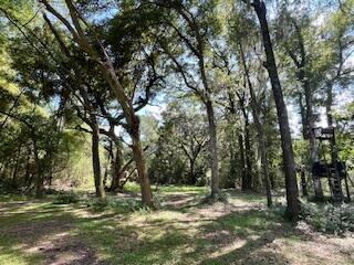 8357 Chisolm Plantation Road Edisto Island, SC 29438 - Photo 68 of 73 IMG_7634