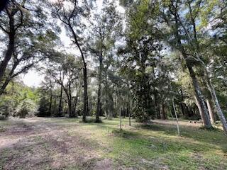 8357 Chisolm Plantation Road Edisto Island, SC 29438 - Photo 69 of 73 IMG_7636