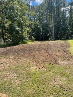 8357 Chisolm Plantation Road Edisto Island, SC 29438 - Photo 72 of 73 IMG_1337