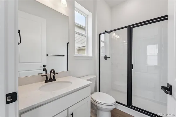 a bathroom with a sink a toilet and a shower