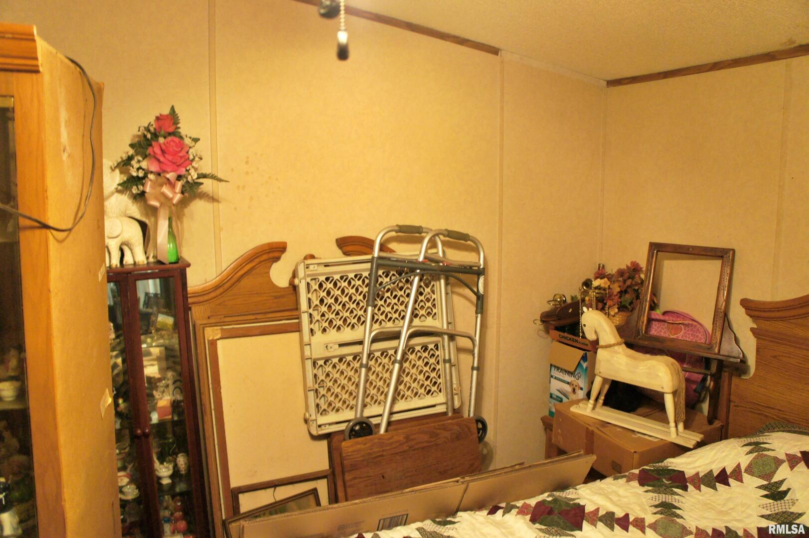 6752 South US 45 Road Brookport, IL 62910 - Photo 40 of 62