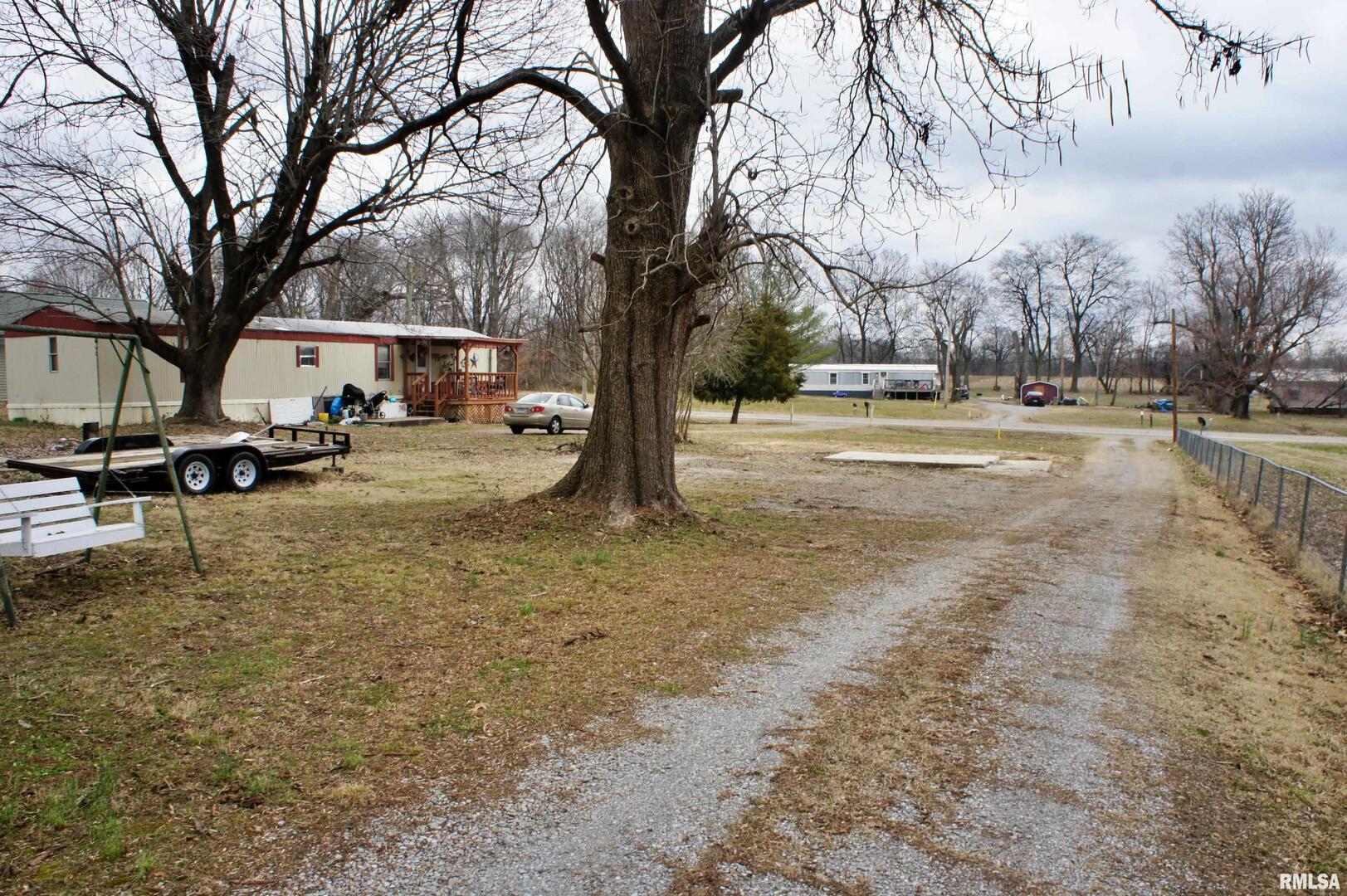 6752 South US 45 Road Brookport, IL 62910 - Photo 53 of 62 a view of a yard with a tree