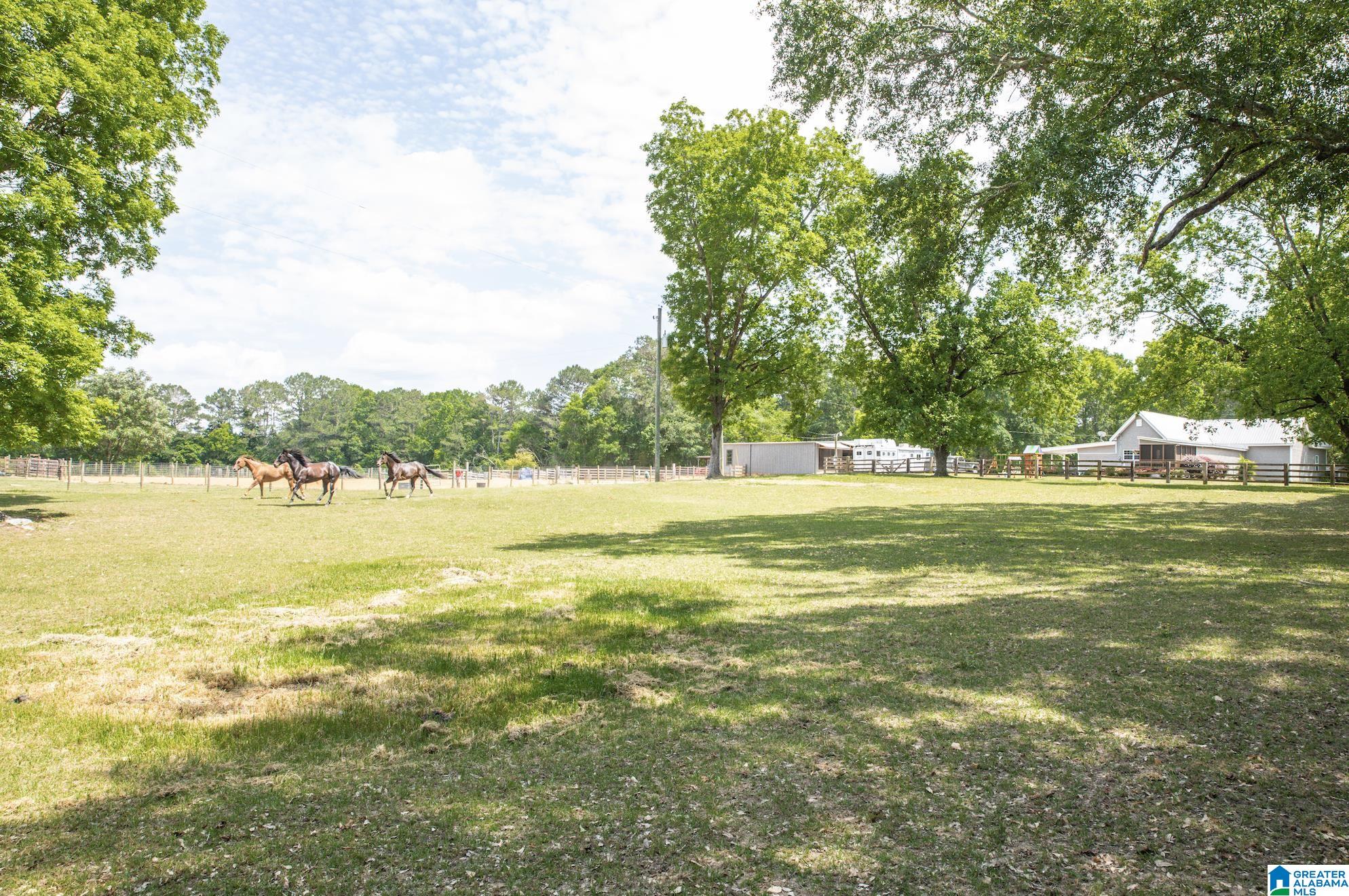 9696 Highway 62 Vincent, AL 35178 - Photo 43 of 50