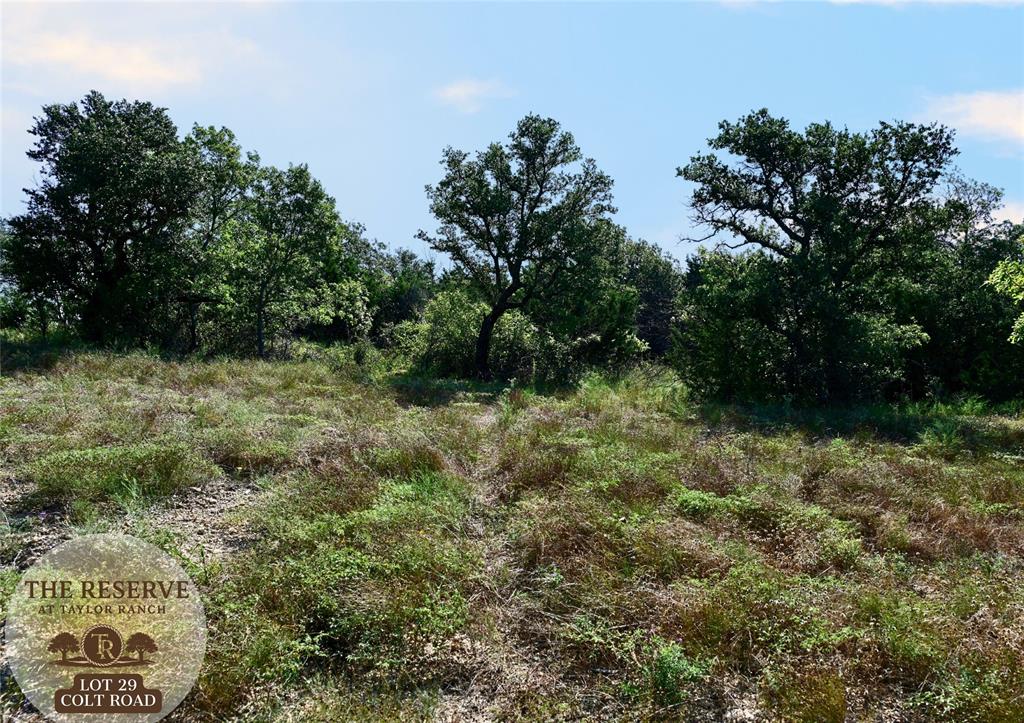 Lot 29 Colt Road Springtown, TX 76082 - Photo 3 of 7 a view of outdoor space and a yard