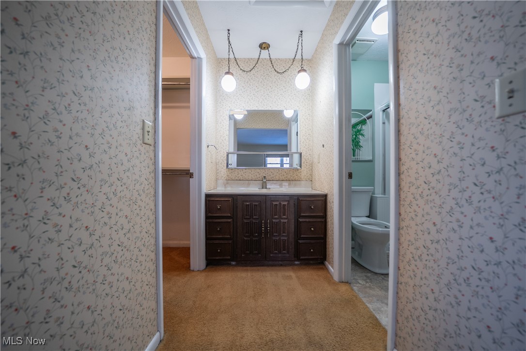 11702 Clark Road Chardon, OH 44024 - Photo 16 of 29 Bathroom featuring a spacious closet, vanity, carpet