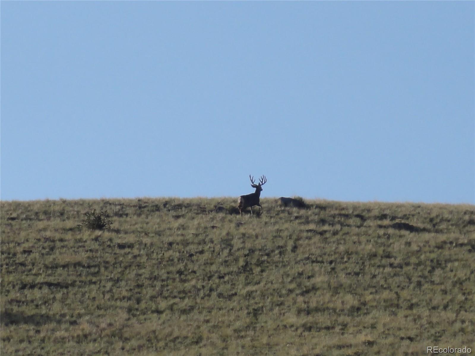 Undisclosed Address Guffey, CO 80820 - Photo 42 of 45 Gallery Image 42