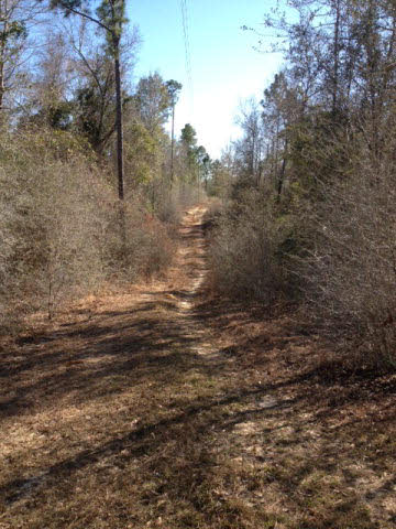 0 Green Jordan Road Bay Minette, AL 36507 - Photo 1 of 1