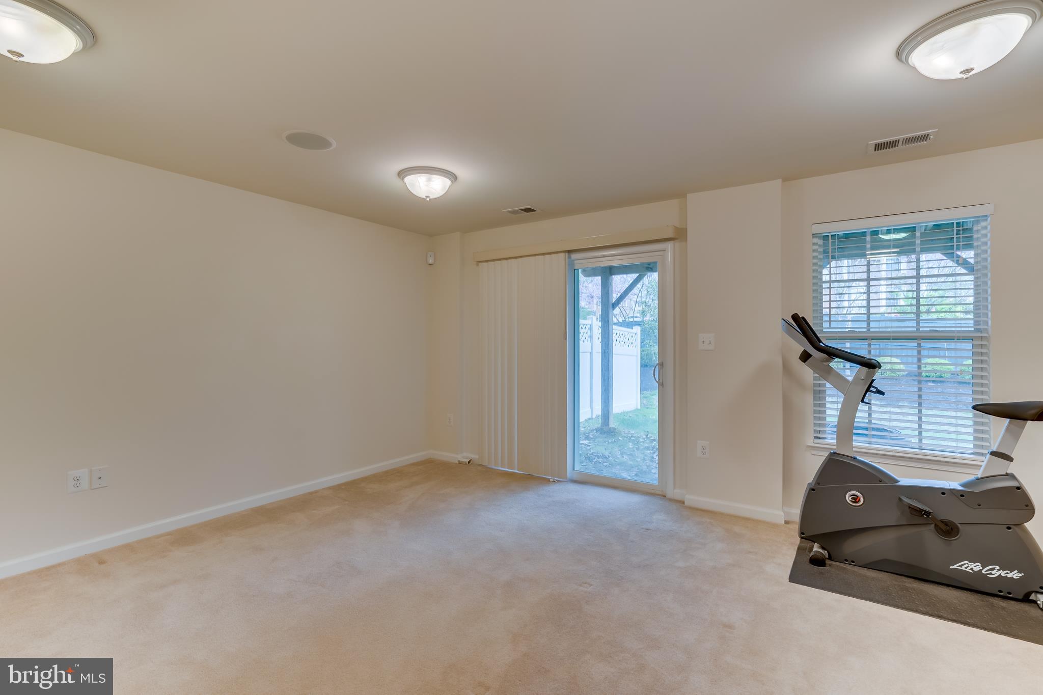 405 Alba Road Fredericksburg, VA 22405 - Photo 10 of 29 REC ROOM WITH WALK OUT