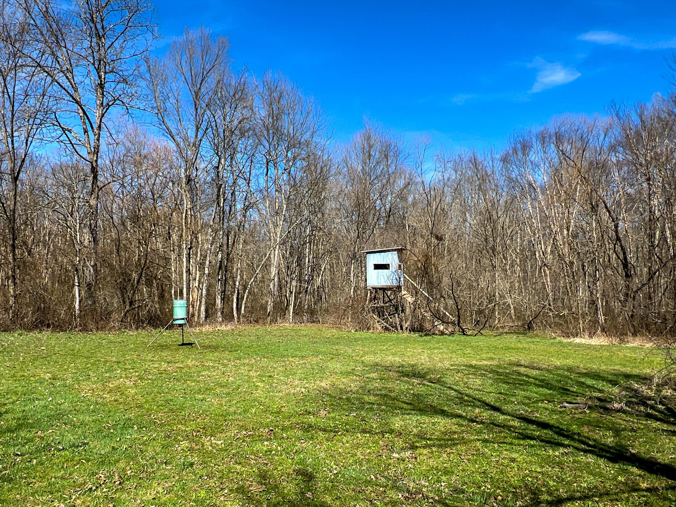 0 Locust Grove Road McArthur, OH 45651 - Photo 4 of 12 IMG_7067