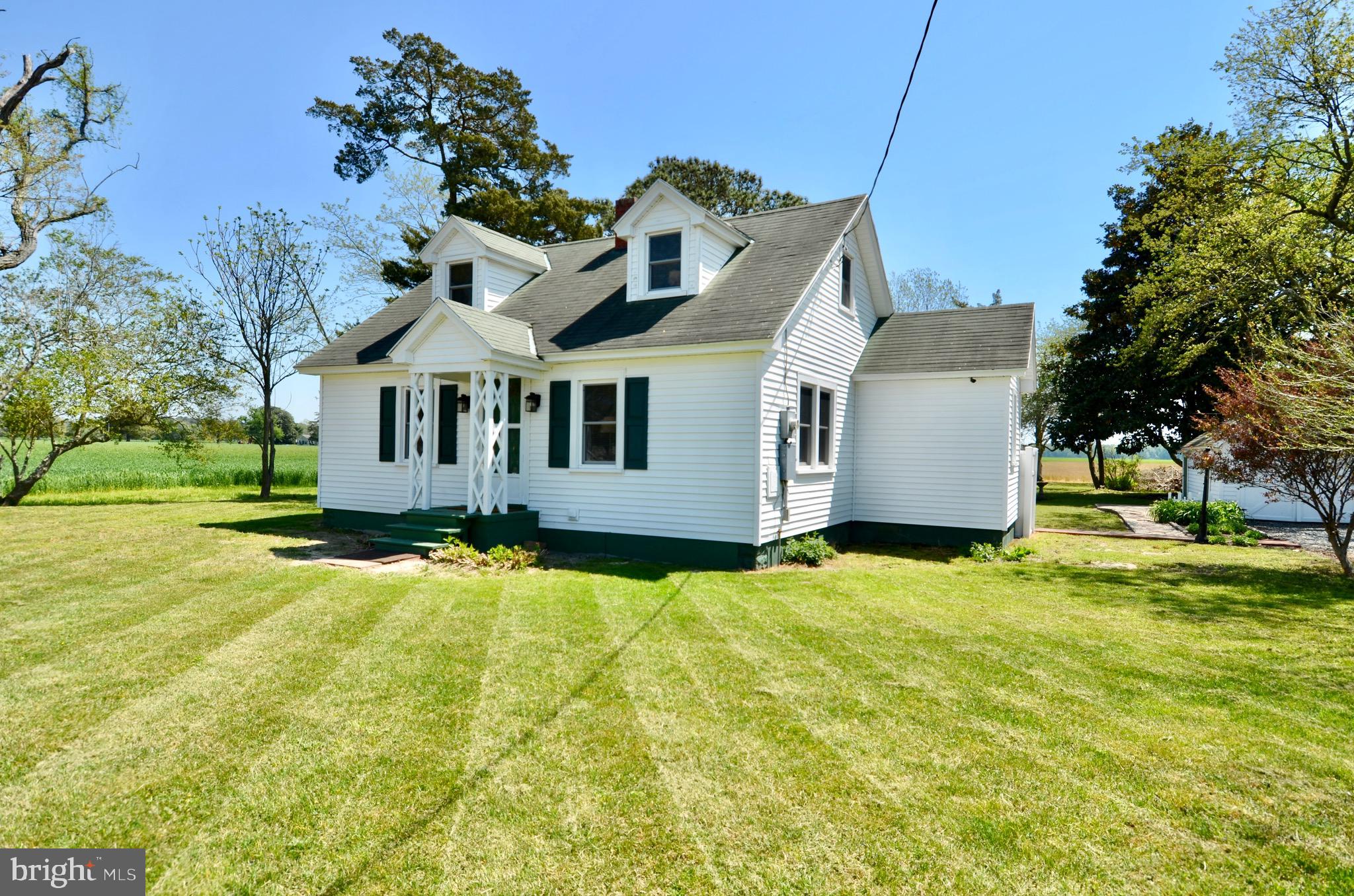 30023 Deal Island Road Princess Anne, MD 21853 - Photo 15 of 25 a view of a white house with a big yard and large tree