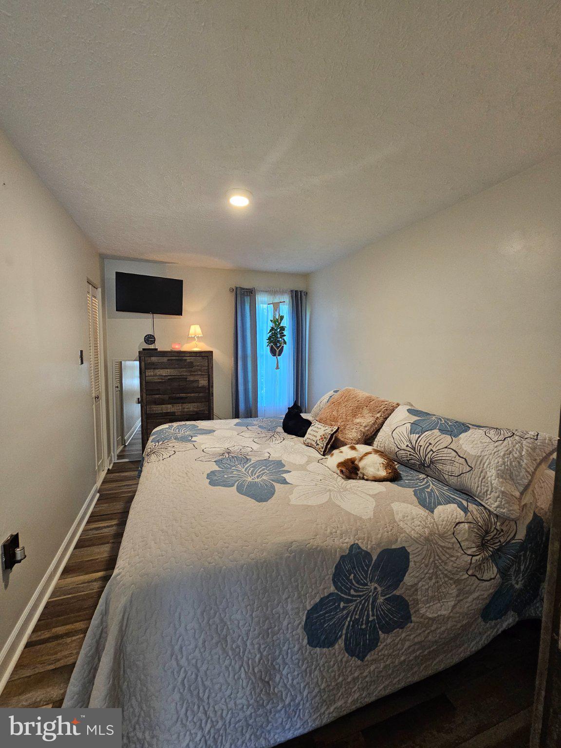 32 Parnassus Road Linden, VA 22642 - Photo 28 of 50 Cozy retreat with serene vibes.