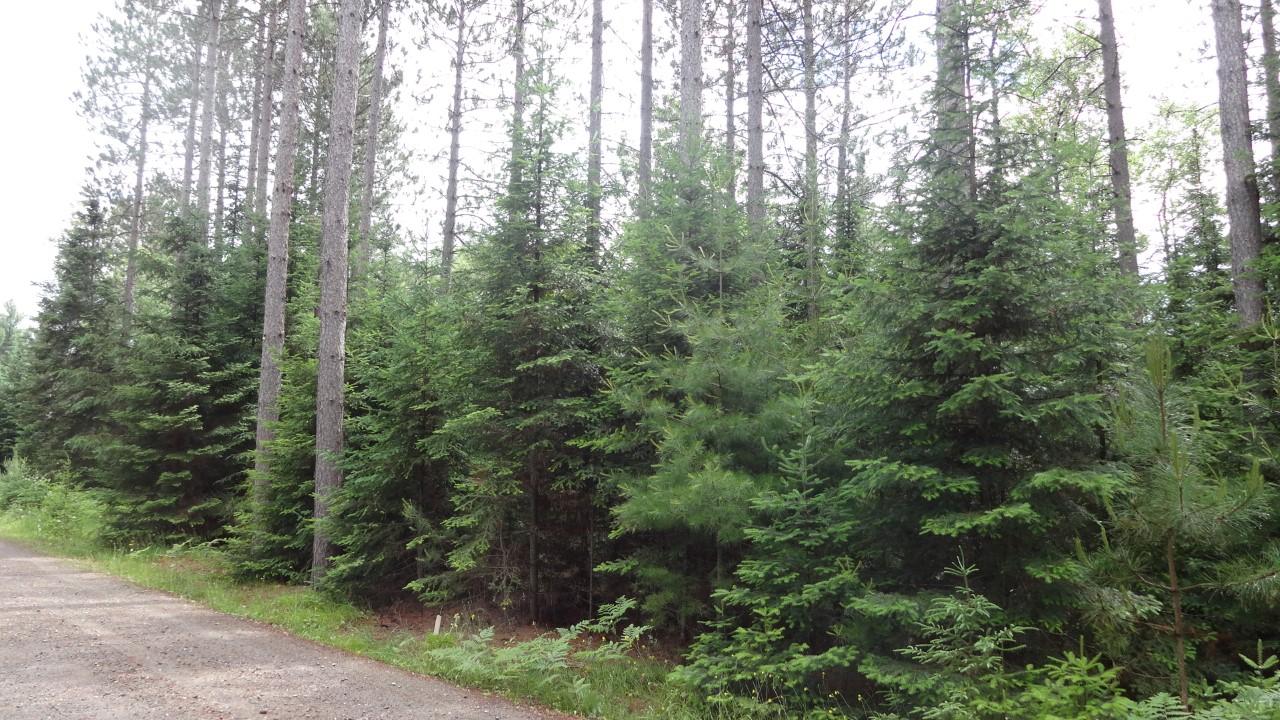 3-4 Murmuring Pnes Trail Rhinelander, WI 54501 - Photo 5 of 12 Gallery Image 5