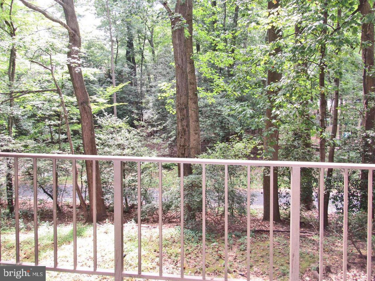 1532 Northgate Square, Unit 12A Reston, VA 20190 - Photo 14 of 20 a view of outdoor with green space