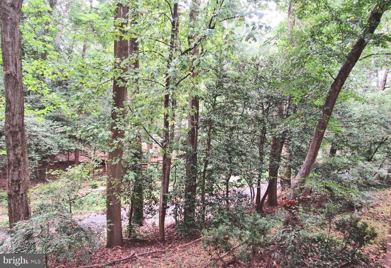 1532 Northgate Square, Unit 12A Reston, VA 20190 - Photo 15 of 20 a view of forest