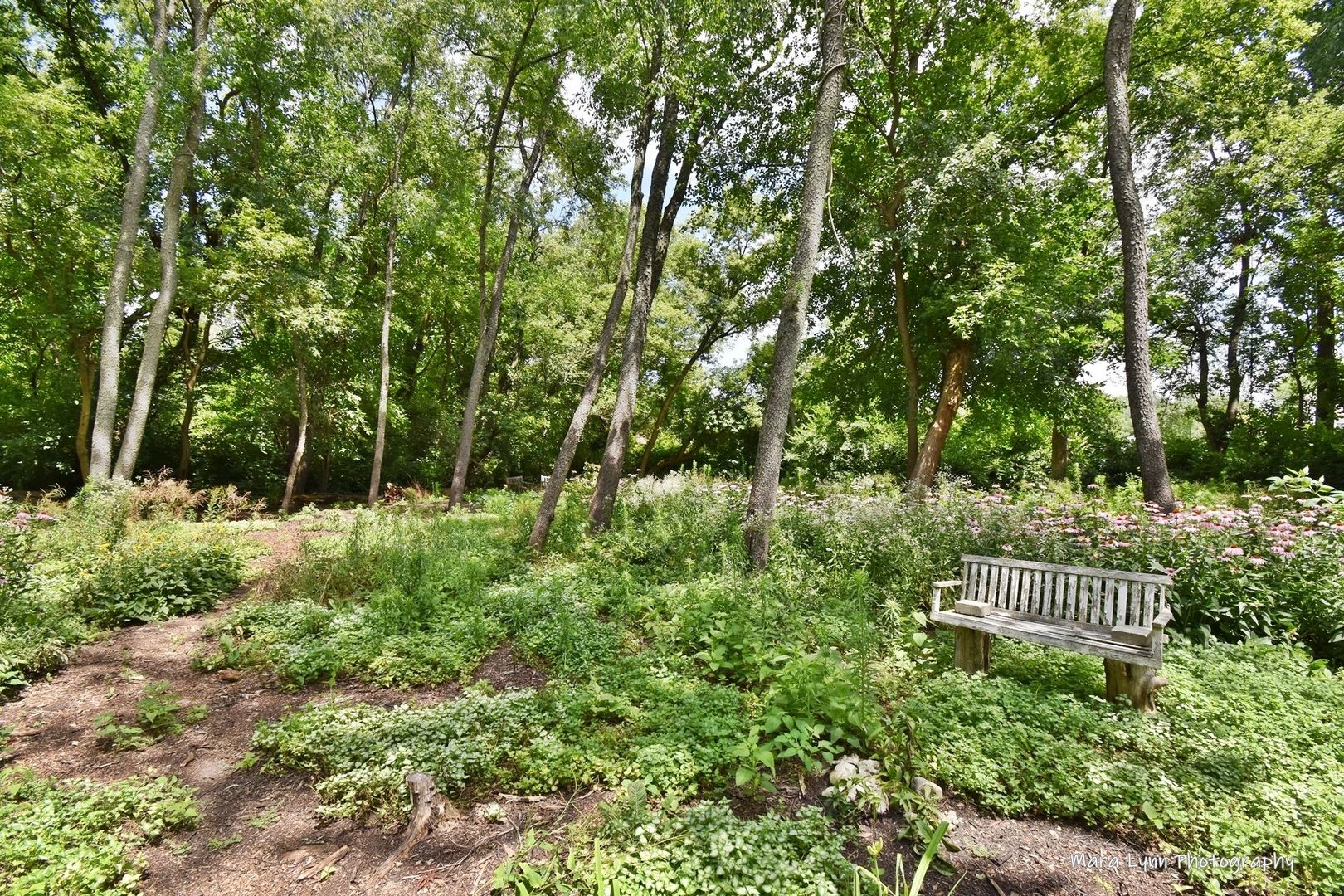 6-n143 Woodland Road St. Charles, IL 60175 - Photo 9 of 17 a view of garden with trees