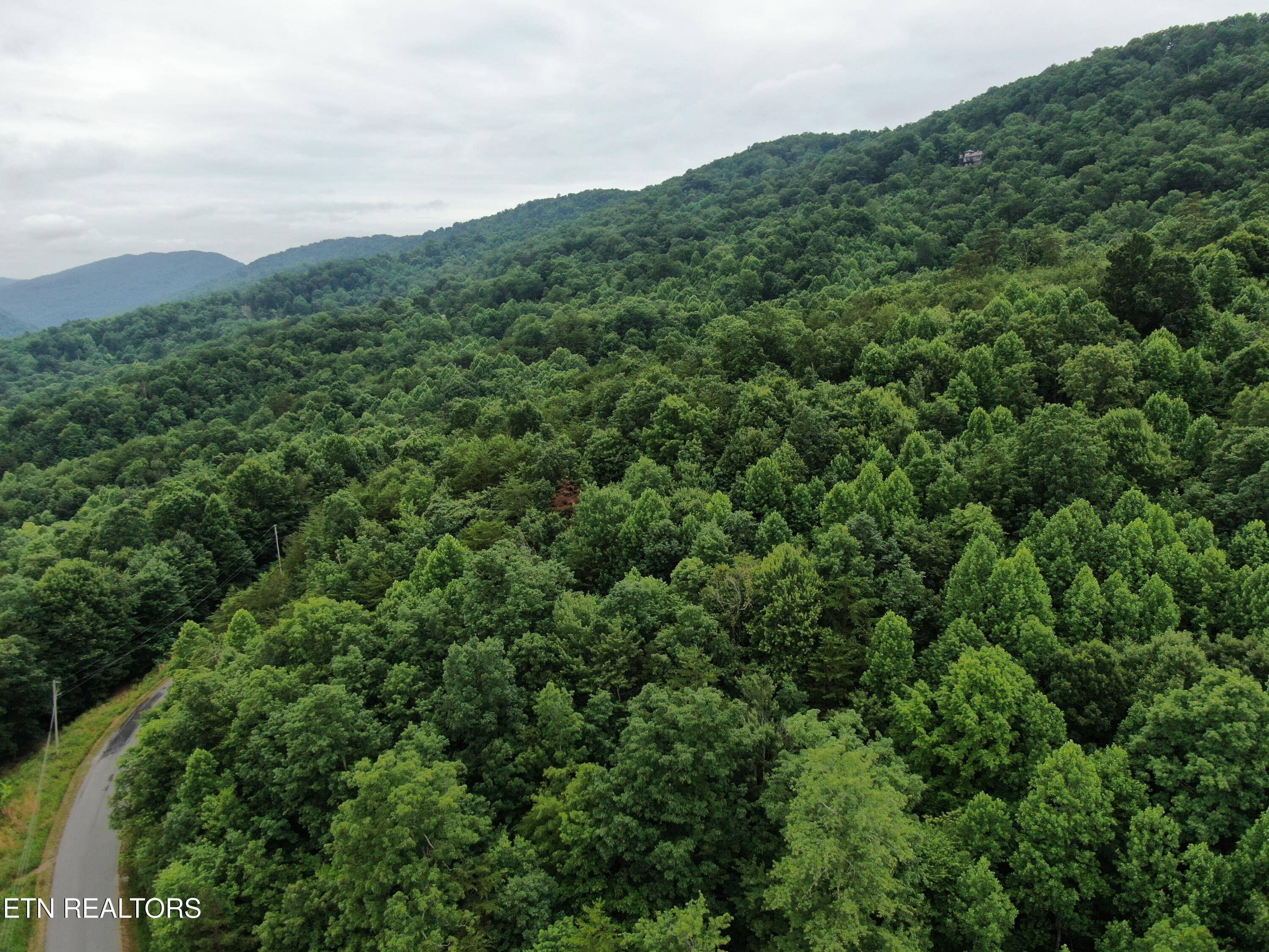 171 Bluff View Road New Tazewell, TN 37825 - Photo 18 of 27 DJI_0400