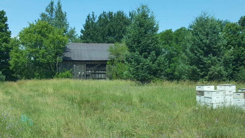 Parcel B Cemetery Road, Unit LOT: B Alden, MI 49612 - Photo 2 of 8
