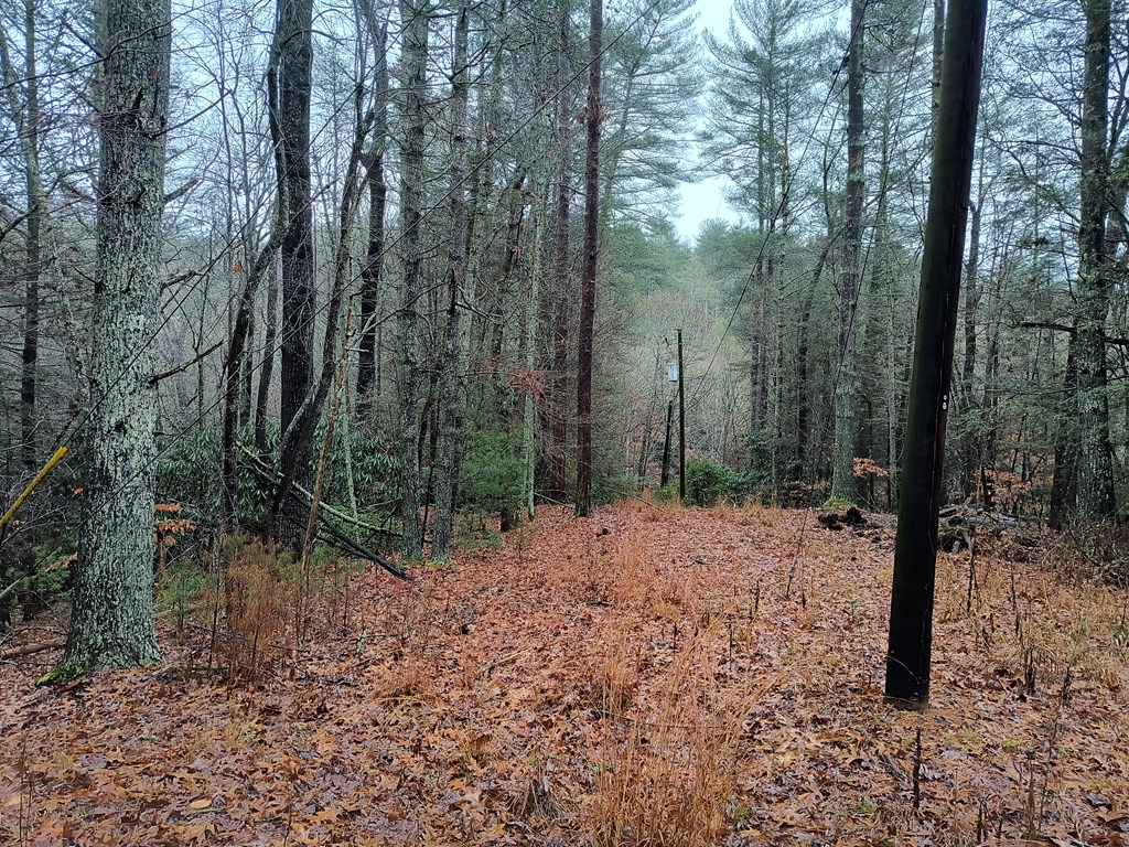 Lot 39 Kells Ridge Drive Ellijay, GA 30540 - Photo 7 of 10 Gallery Image 7