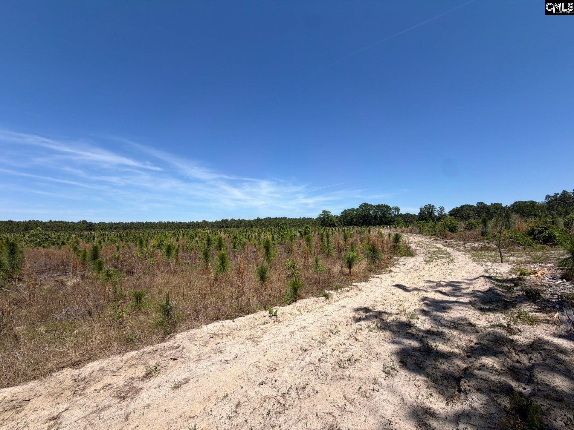 1 Holstein Road Monetta, SC 29105 - Photo 30 of 36