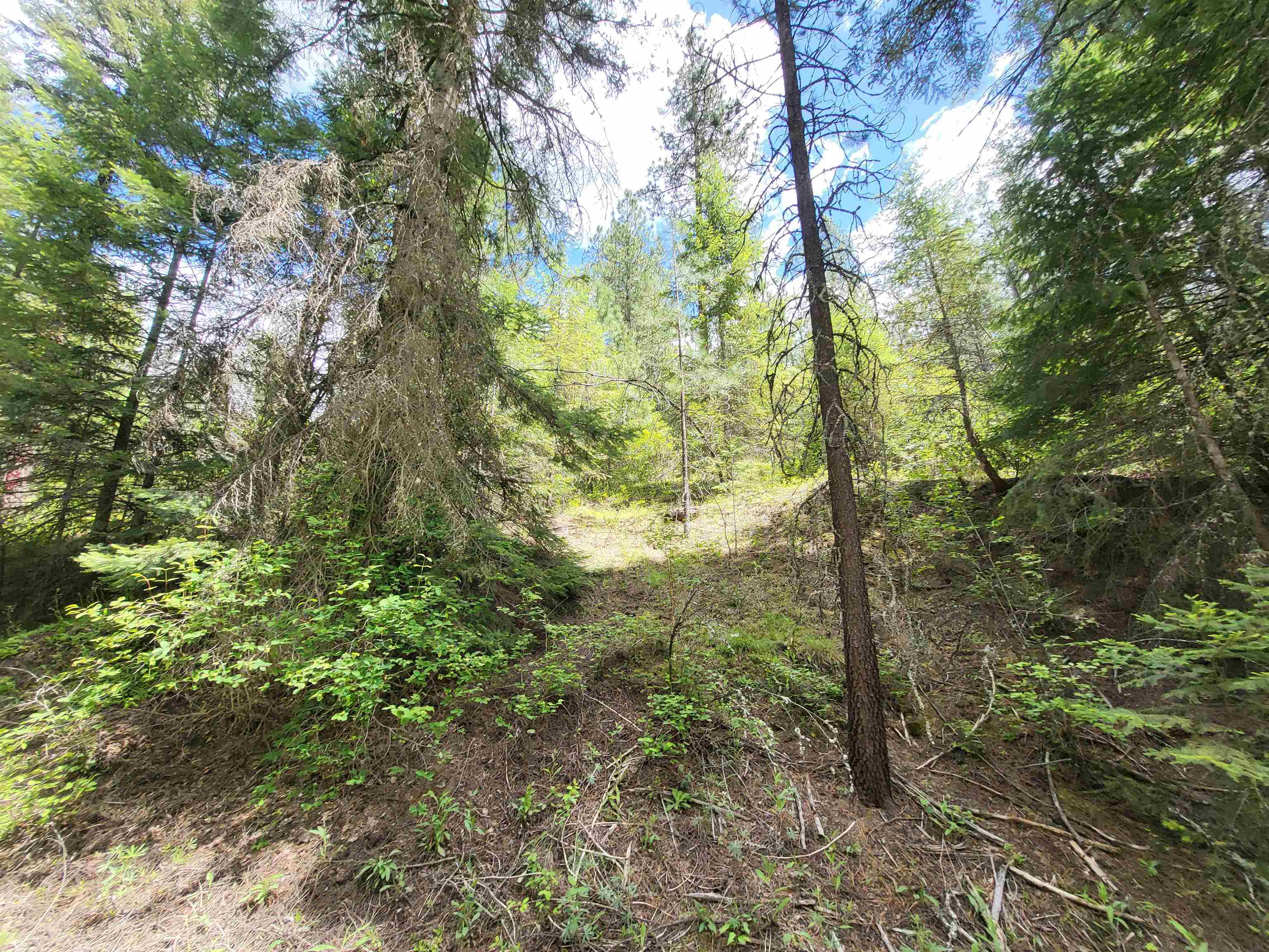 4610 B Hidden Road Springdale, WA 99173 - Photo 11 of 23 Gallery Image 11