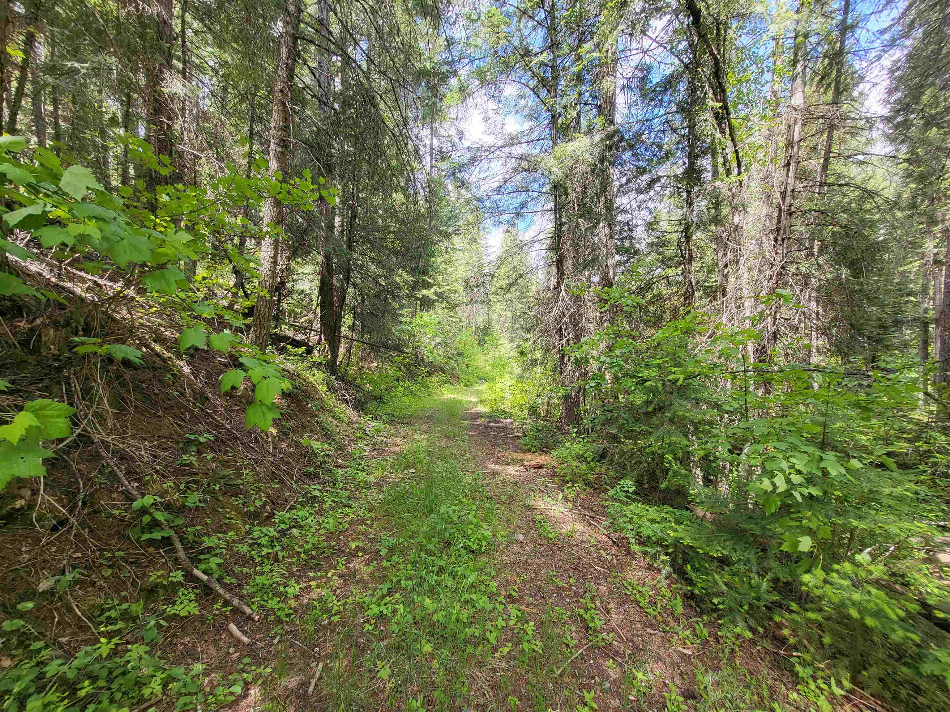 4610 B Hidden Road Springdale, WA 99173 - Photo 12 of 23 Gallery Image 12