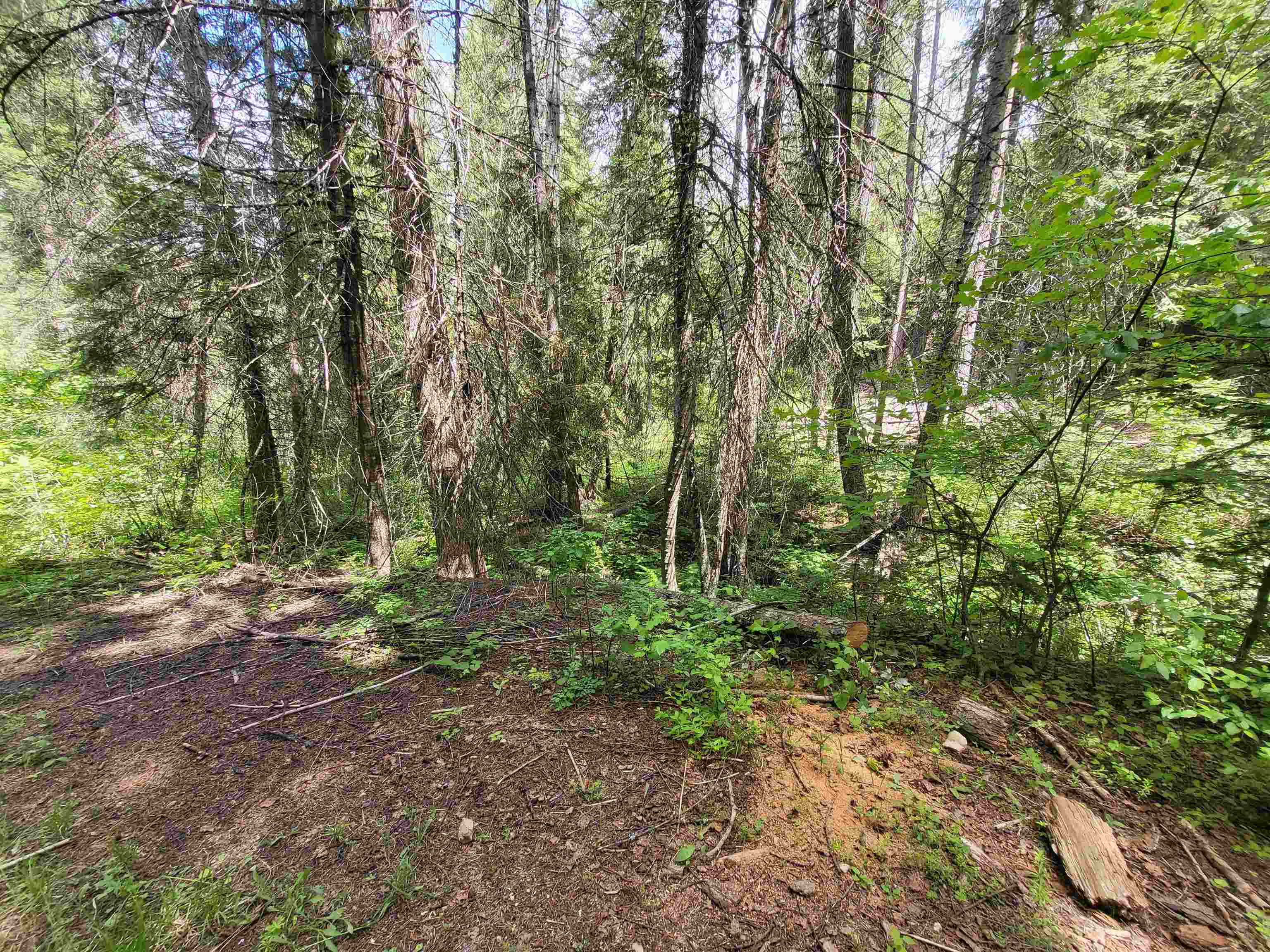 4610 B Hidden Road Springdale, WA 99173 - Photo 13 of 23 Gallery Image 13