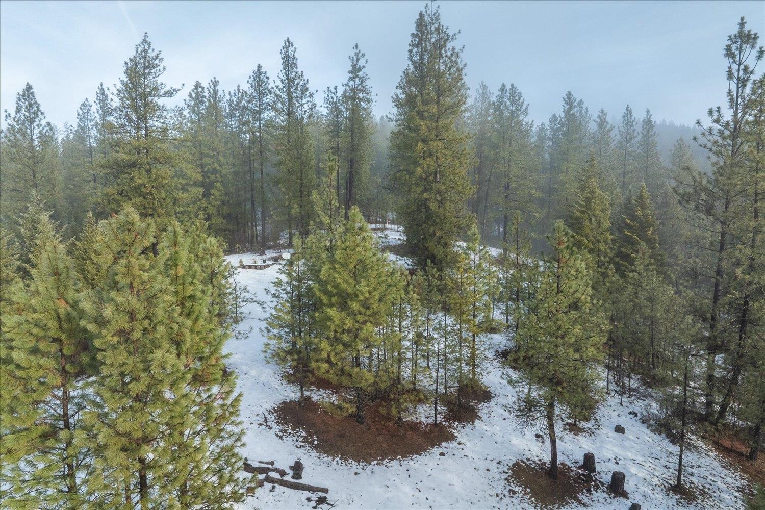 4610 B Hidden Road Springdale, WA 99173 - Photo 17 of 23 Gallery Image 17