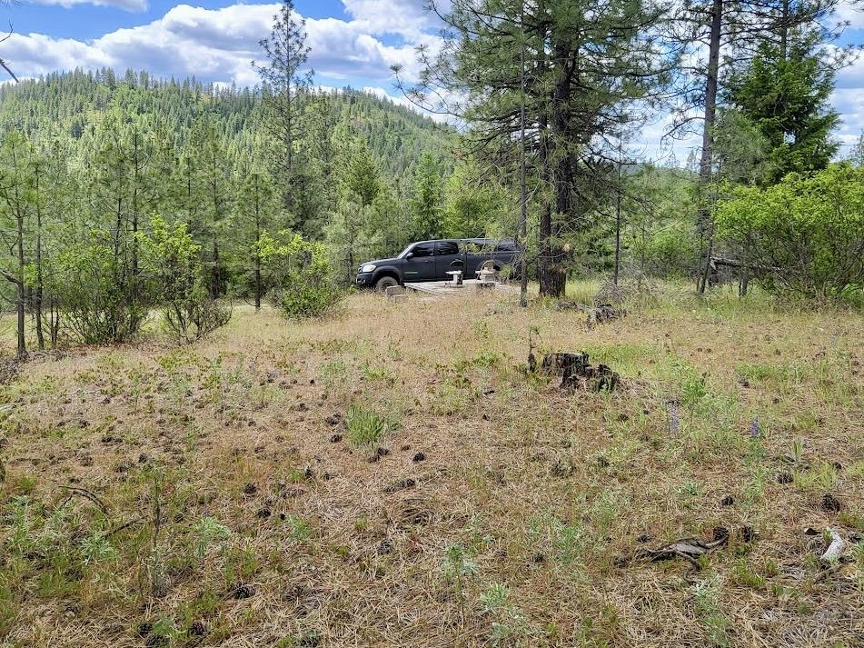 4610 B Hidden Road Springdale, WA 99173 - Photo 8 of 23 Gallery Image 8