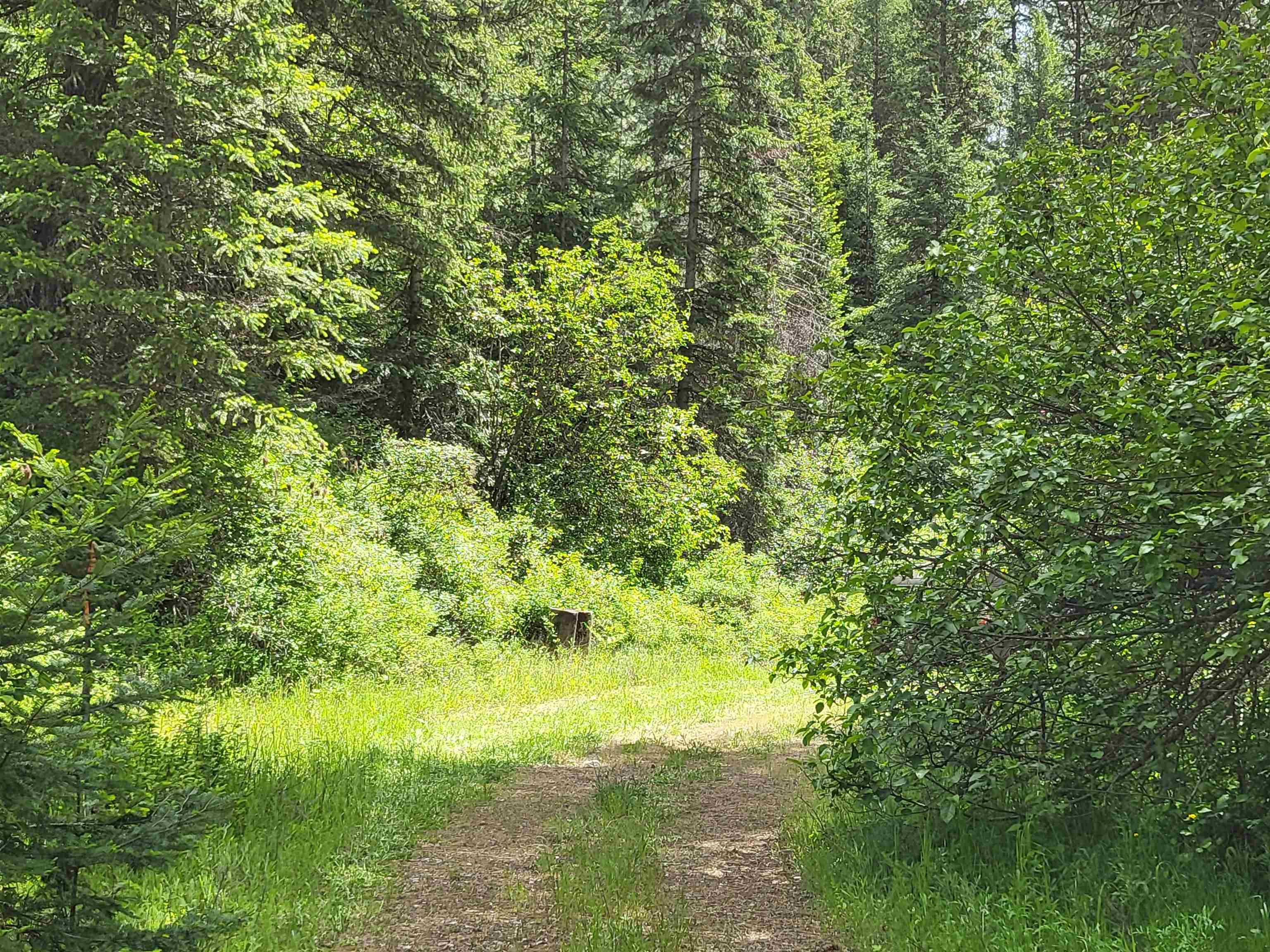 4610 B Hidden Road Springdale, WA 99173 - Photo 9 of 23 Gallery Image 9