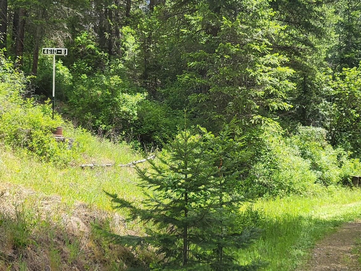 4610 B Hidden Road Springdale, WA 99173 - Photo 10 of 23 Gallery Image 10