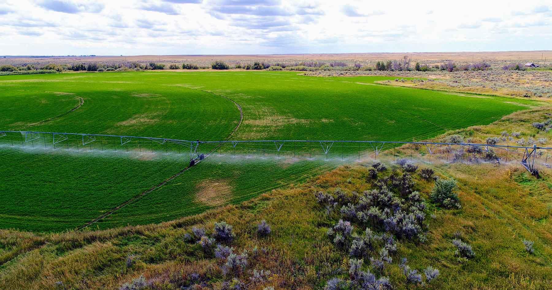 428 Cutoff Road Carey, ID 83320 - Photo 69 of 108 renegade-069