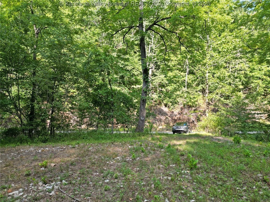 50 Island Branch Road Charleston, WV 25320 - Photo 2 of 14 Gallery Image 2