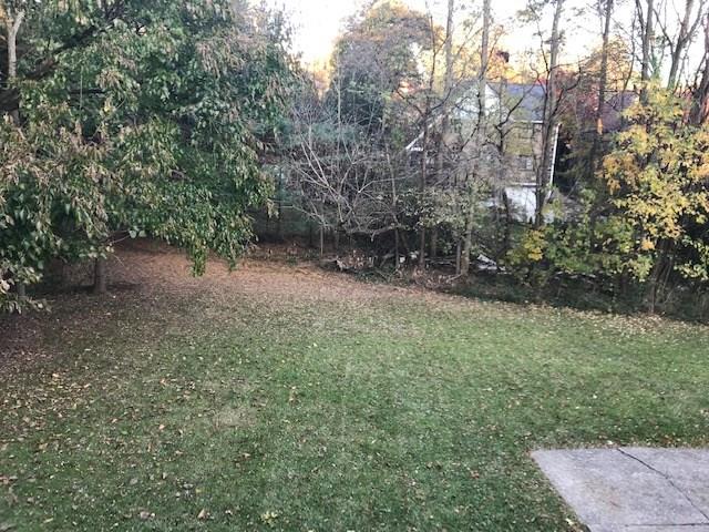 1061 Washington Road Pittsburgh, PA 15228 - Photo 19 of 20 Backyard