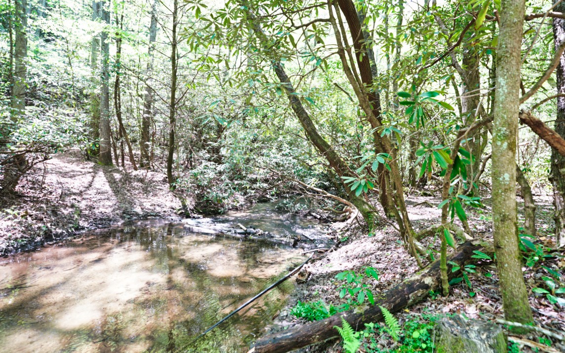 0 Laurel Ridge Road Blue Ridge, GA 30513 - Photo 22 of 23 Additional View