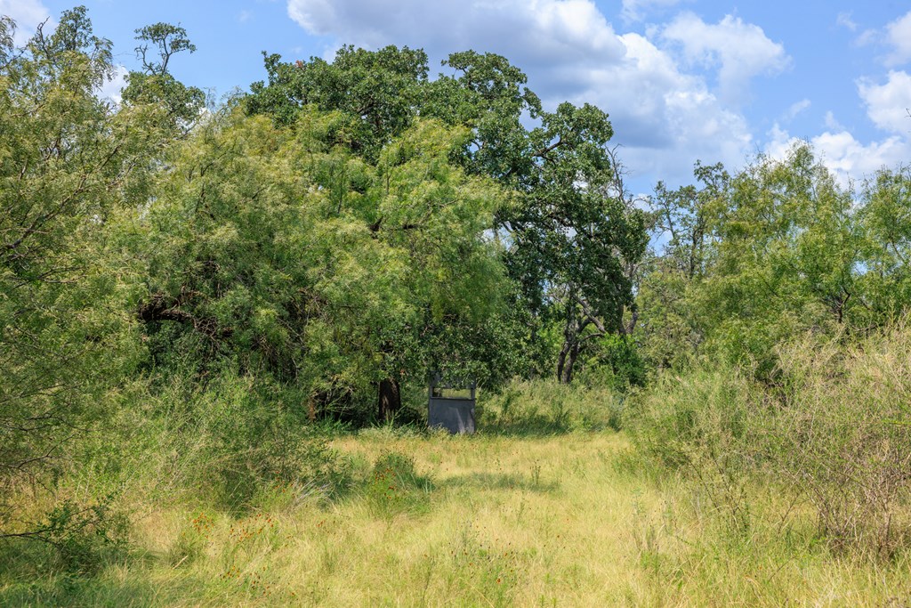 0 Ranch Road 648 Doss, TX 78618 - Photo 11 of 12