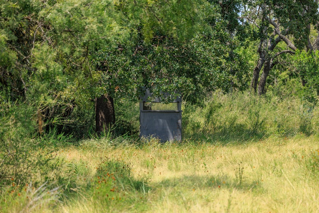 0 Ranch Road 648 Doss, TX 78618 - Photo 2 of 12
