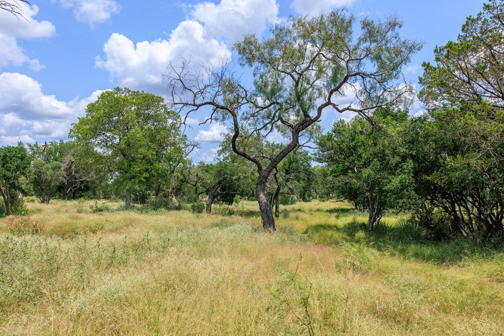 0 Ranch Road 648 Doss, TX 78618 - Photo 3 of 12