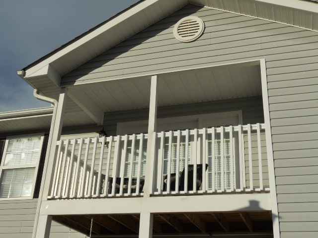 305 Pelham Square Way Greer, SC 29650 - Photo 2 of 21 Gallery Image 2