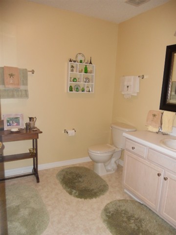 305 Pelham Square Way Greer, SC 29650 - Photo 13 of 21 Gallery Image 13