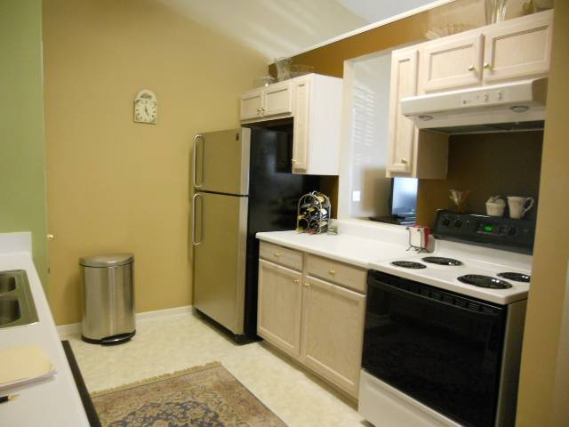 305 Pelham Square Way Greer, SC 29650 - Photo 7 of 21 Gallery Image 7