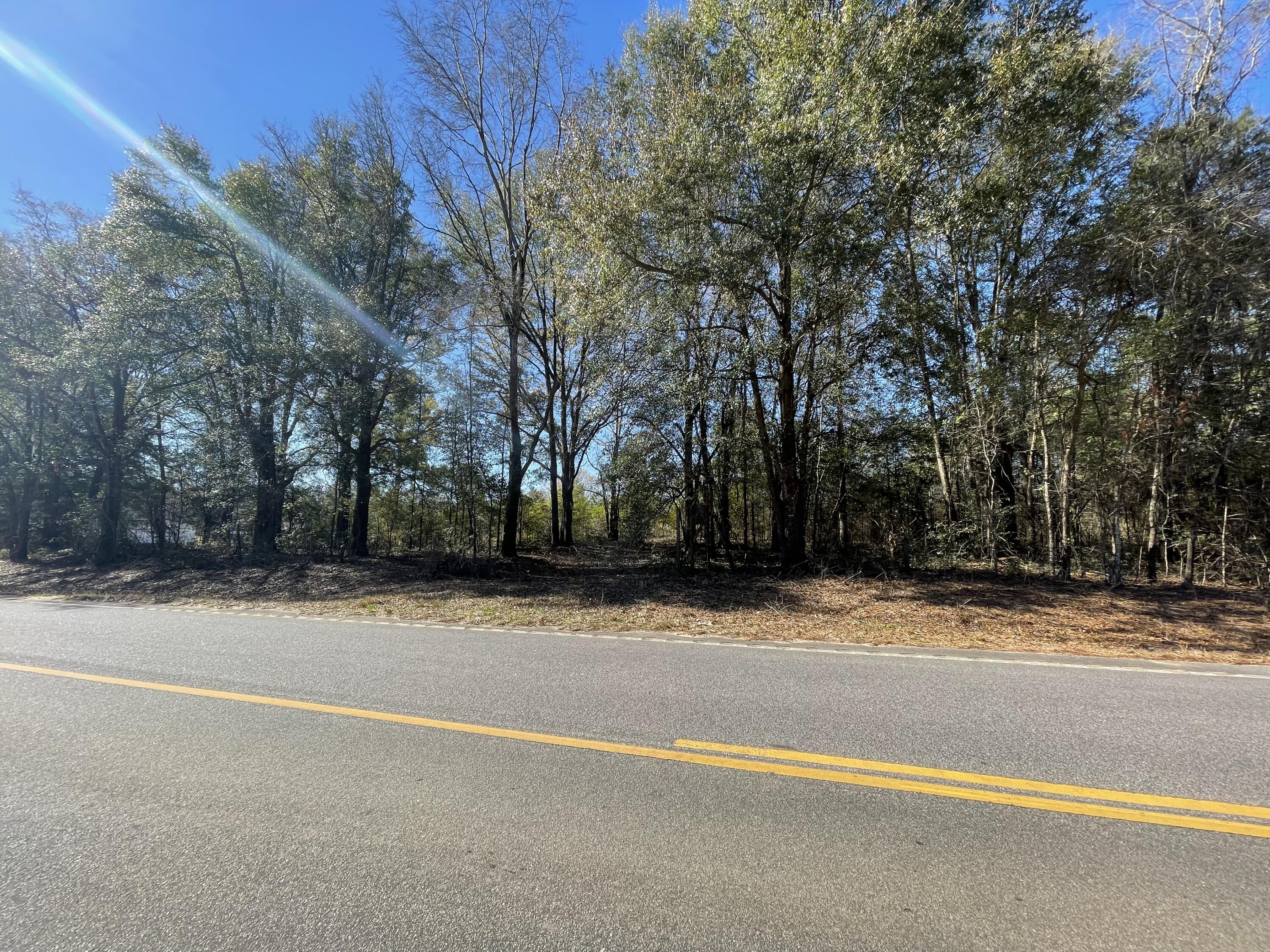 2425 Dingle Pond Road Summerton, SC 29148 - Photo 3 of 4 IMG-1326
