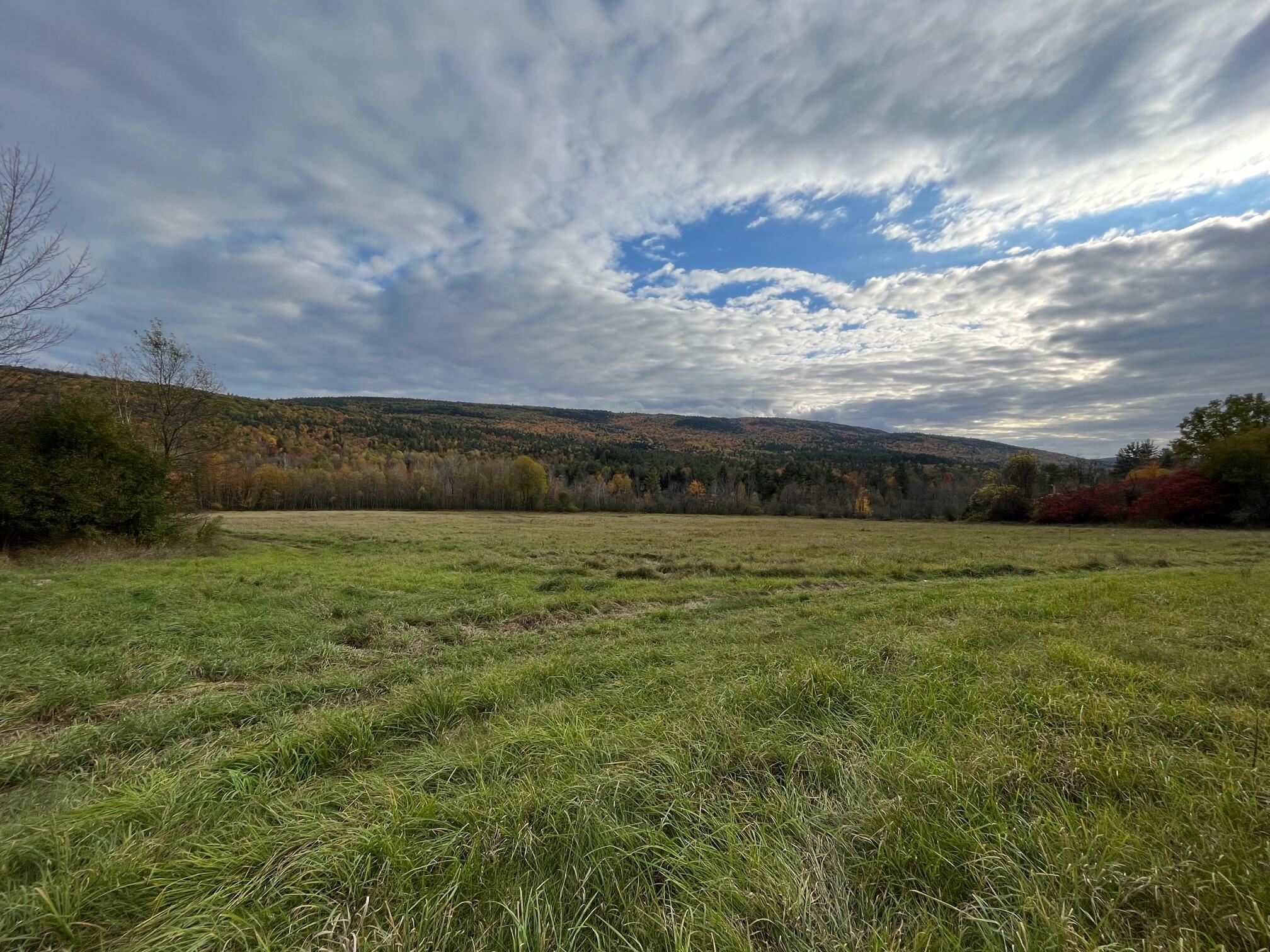 0 Peasleeville Road Peru, NY 12972 - Photo 2 of 7