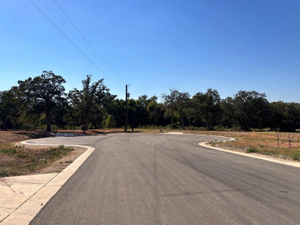 208 Acadia Bend Elgin, TX 78621 - Photo 3 of 6 a view of a terrace view