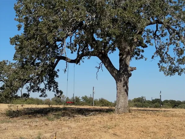 a view of a yard with a house