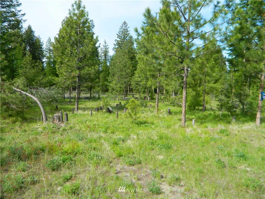 25 Big Dog Road Tonasket, WA 98855 - Photo 3 of 16 Gallery Image 3