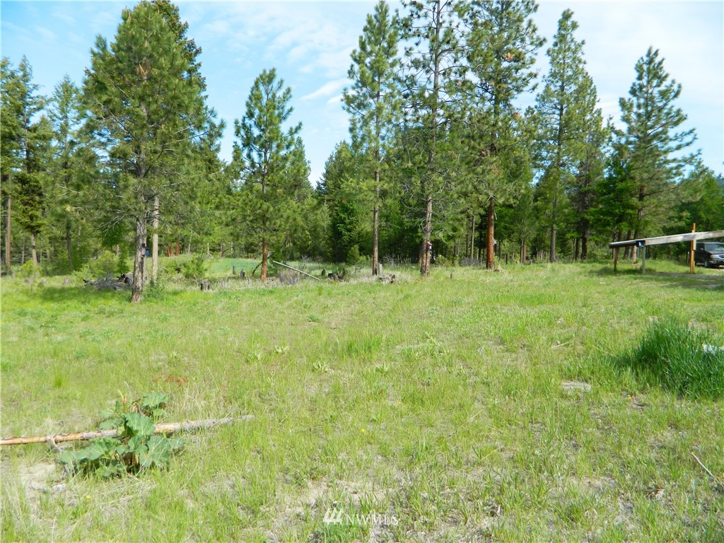 25 Big Dog Road Tonasket, WA 98855 - Photo 4 of 16 Gallery Image 4