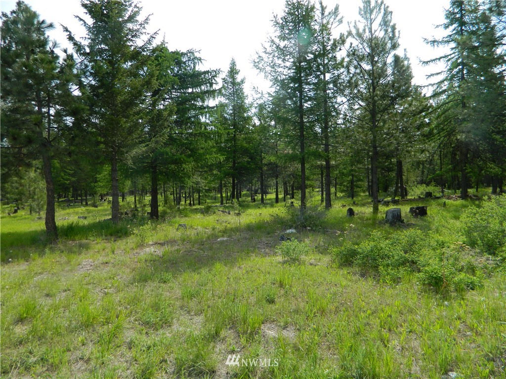 25 Big Dog Road Tonasket, WA 98855 - Photo 5 of 16 Gallery Image 5