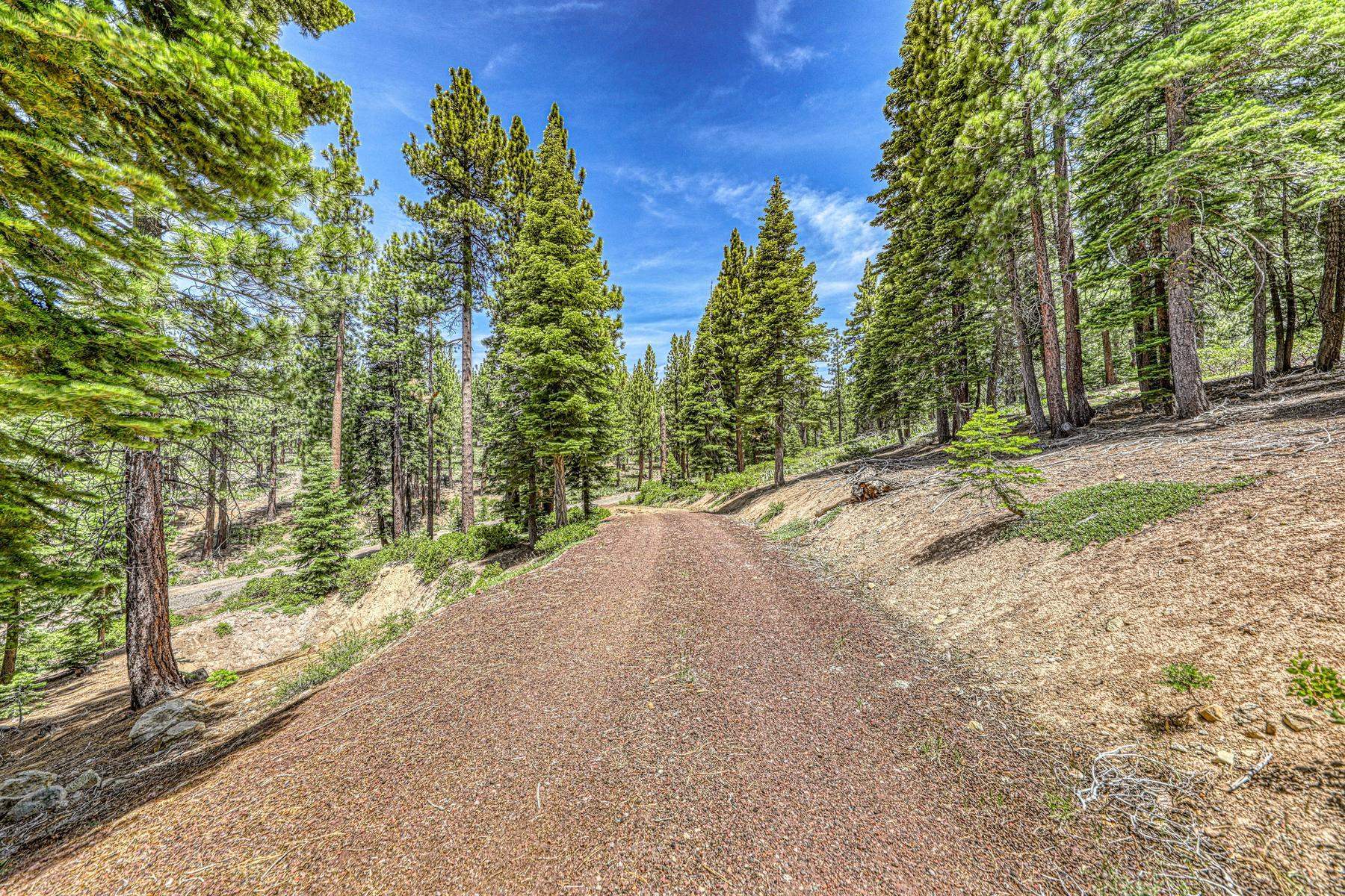 16145 Martis Peak Road Truckee, CA 96161 - Photo 5 of 21